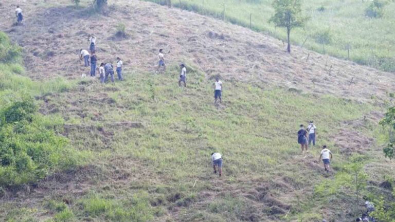 Reforestation Project Launched To Boost Tarlac’s Greening Program