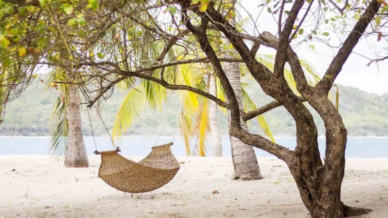 The Art Of Travel Planning Made Easy With Airbnb Wishlists