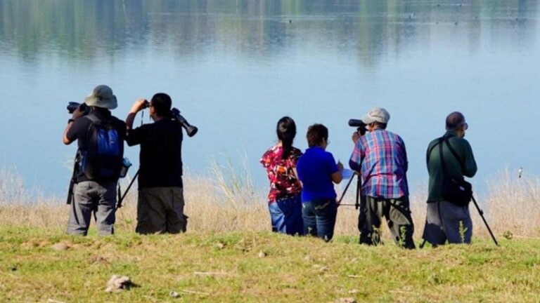 Ilocos Norte Hatches Potentials For Birdwatching Tourism