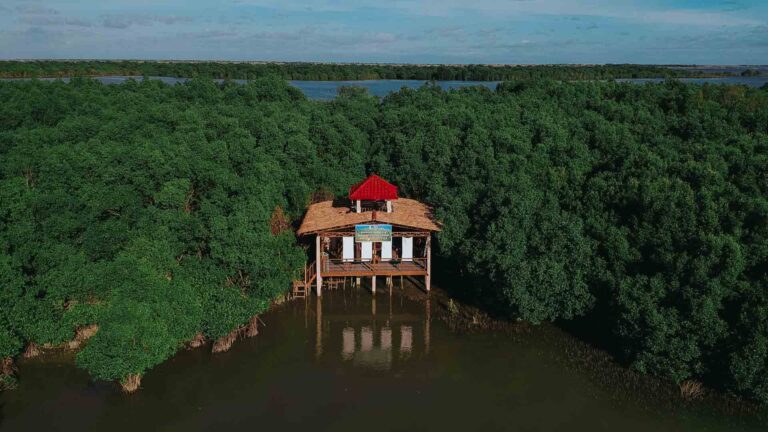 Ericsson, PLDT, And Smart Connect For Environmental Conservation In The Philippines