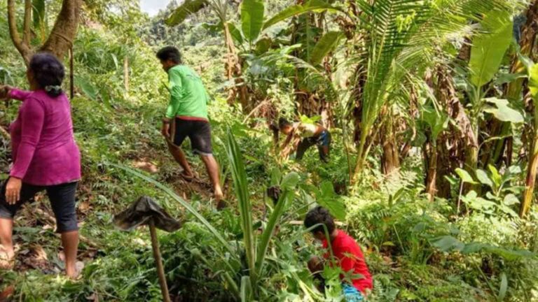 Million Trees Project Nearly Done With Nursery, Learning Center