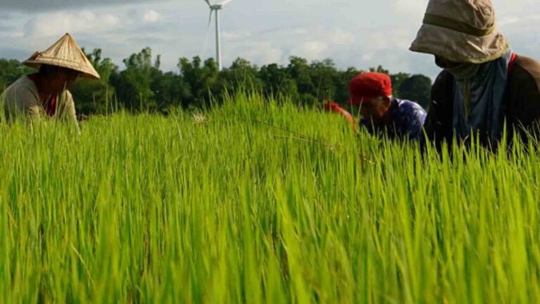 Virology Institute Charter To Help Recovery Of PH Agri Sector