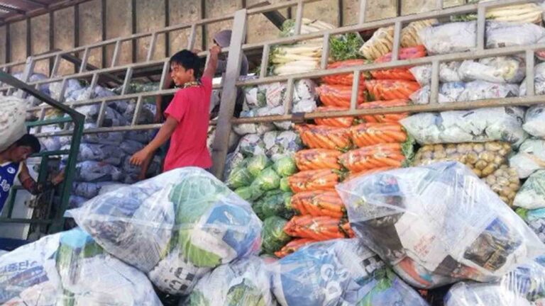 Highland Veggies Supply, Prices Stable Amid Calamities, ‘Undas’