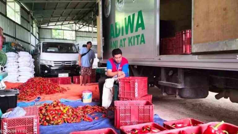Return Of Kadiwa Stores Will Increase Farmers’ Income