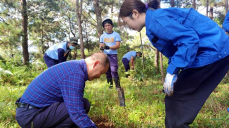 Chinese Firm Backs PH’s Tree Planting With Over 1K Pine Needles