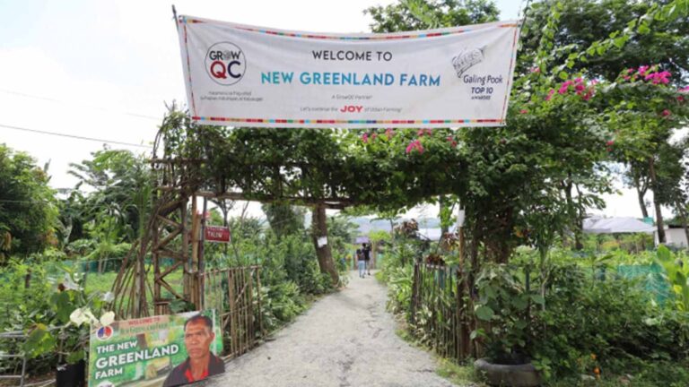 Quezon City Urban Farmers Help Fight Climate Change