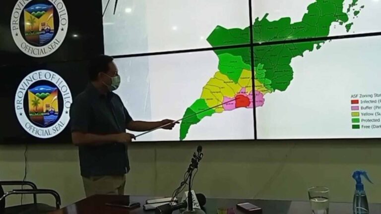 Department Of Agriculture Urges Iloilo To Protect ‘Green Zones’ To Halt Spread Of ASF