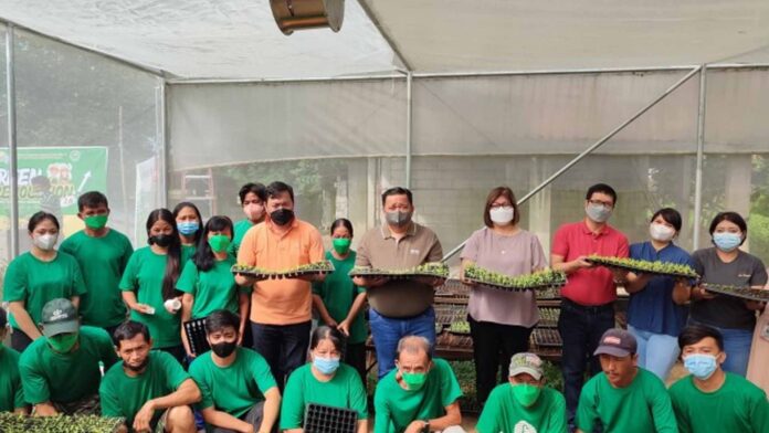 20221027-PAGEONE-Green-Revolution-Central-Luzon.jpg