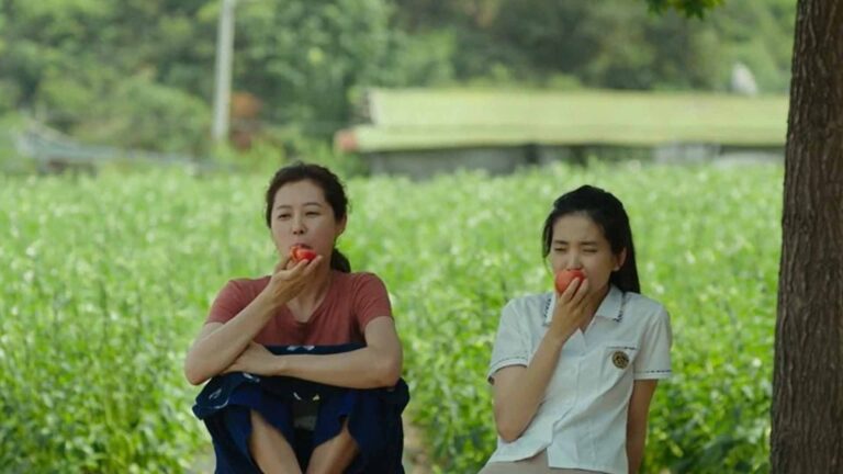 Humanity And Nature Explored In Free Film Screenings For November