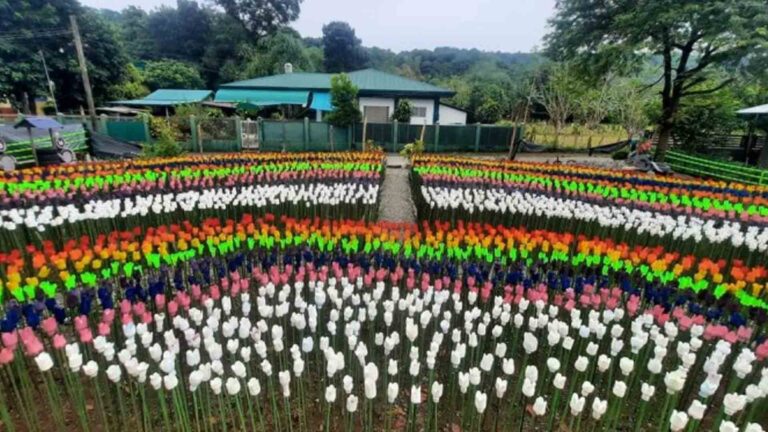 Tulips Made Of Recyclables Attracts Tourists In La Union Village