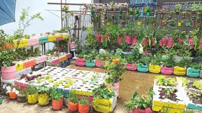 Free Seeds For Cordillera Urban Folks To Boost Urban Agriculture