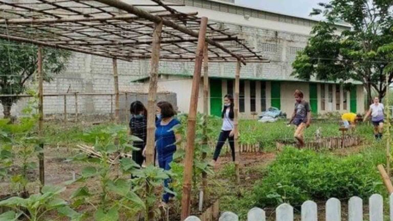 Pangasinan School Garden Alleviates Malnourishment Among Learners