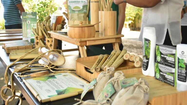 Leyte Promotes Bamboo Production In Response To Global Demand