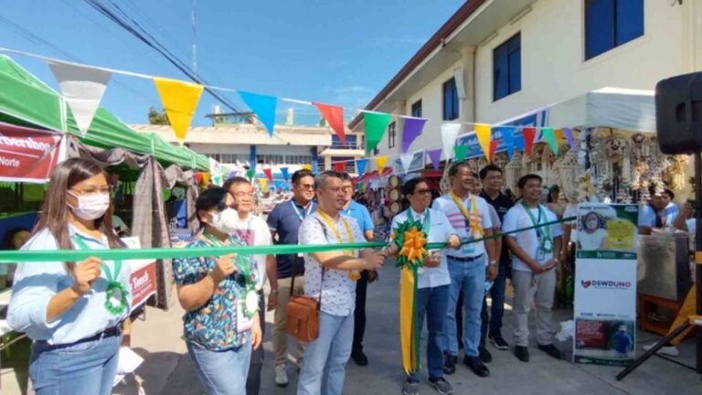 10-K Indigents In Ilocos Benefit From DSWD Livelihood Program