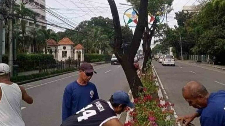 14K Trees Planted In Iloilo City Since 2019