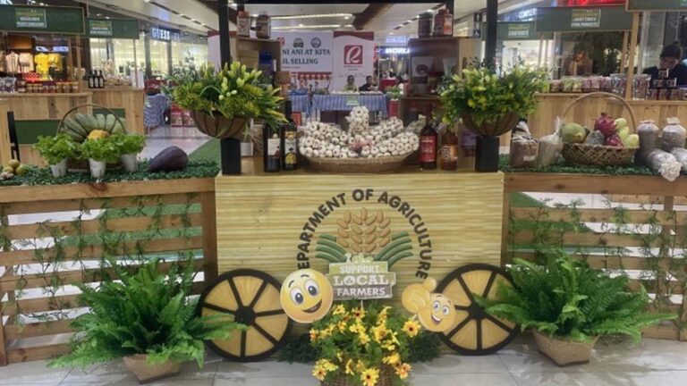 Ilocos Norte Agripreneurs To Join Christmas Bazaar In San Juan
