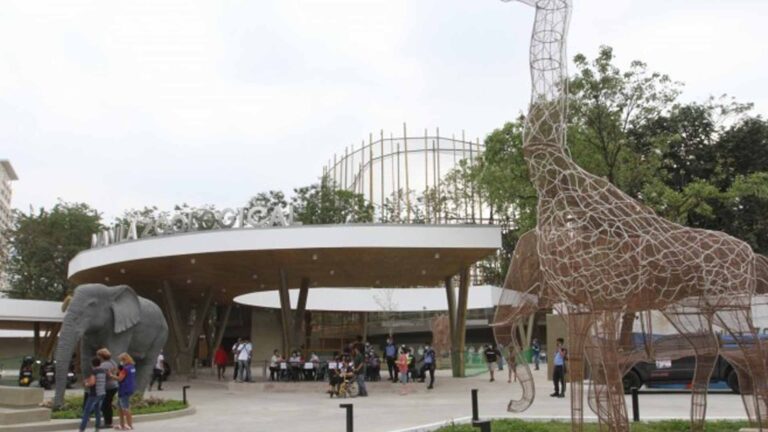 Newly Renovated Manila Zoo Reopens To Public