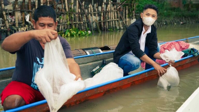 70K Carp Fingerlings Dispersed In Pampanga River