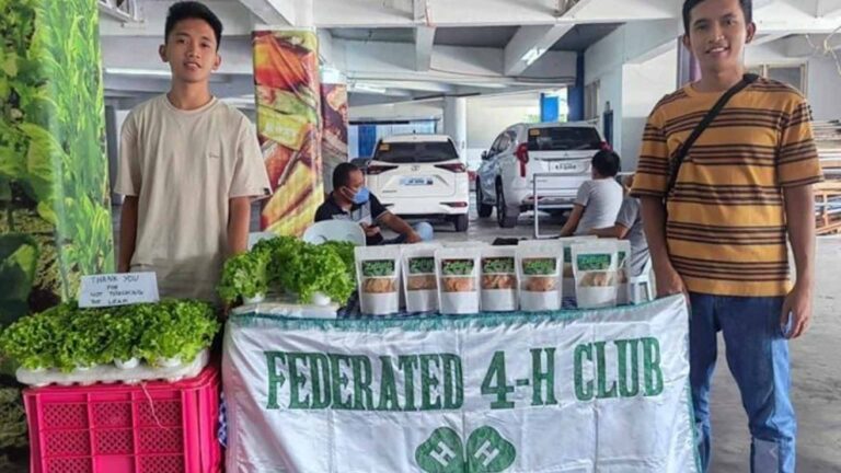 Young Ilocano Siblings Venture Into Agri-Enterprise Dev’t