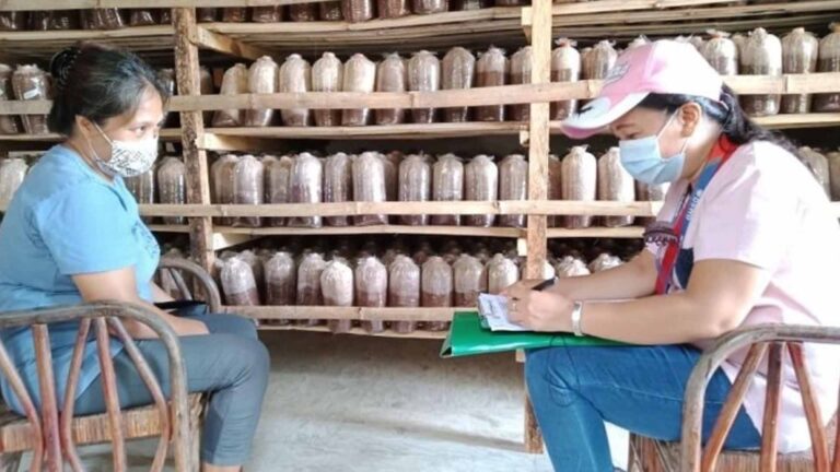 Close To 300 Ilocos Norte MSMEs Get Livelihood Grant