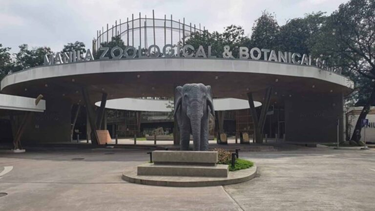 Manila Zoo: From Bay Polluter To 2022 Golden Kubeta Awardee