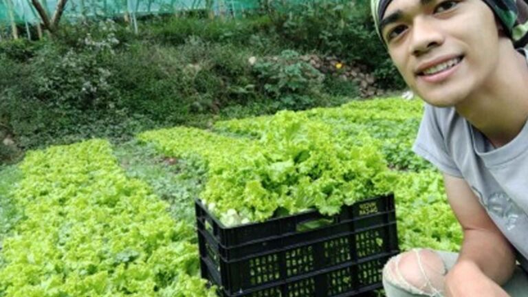 Youth Agri Clubs In Schools To Engage In Food Production