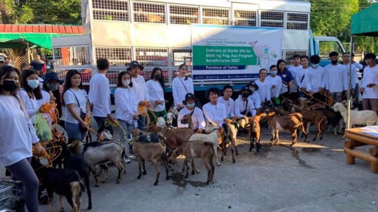 Department Of Agriculture Empowers Young Farmers In Tarlac To Become ‘Agripreneurs’