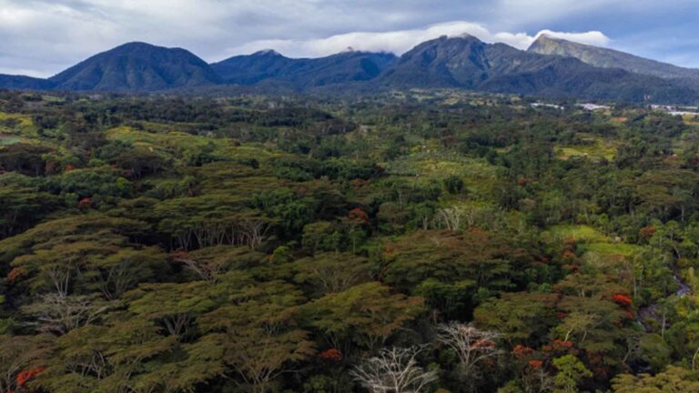 Bukidnon LGU, Stakeholders Mull Mountain Trail Reopening