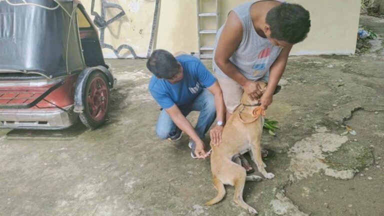 Ilocos Sur Rolls Out Massive Anti-Rabies Vaccination