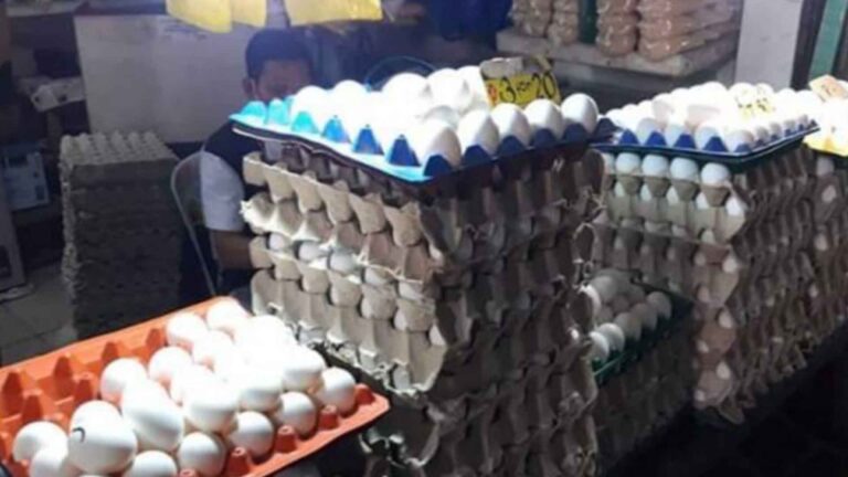 Sufficient Supply Of Eggs In Negros Occidental Assured
