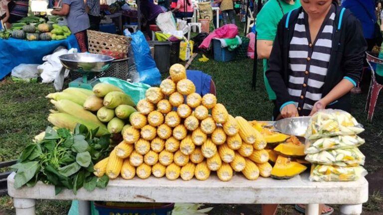 Flea Market, International Cuisine Lure Visitors To Negros Oriental Town