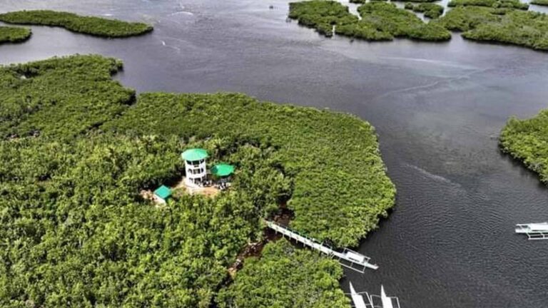 Climate Change Commission: Del Carmen Mangrove Reserve Headed For Bigger Things