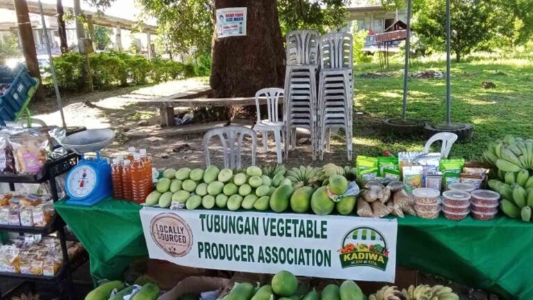 Department Of Agriculture To Open Kadiwa Pop-Up Stores In 2 Panay LGUs