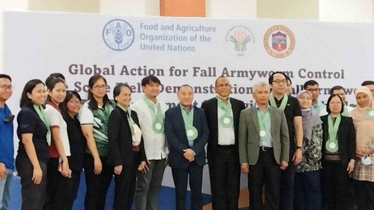 4 Pangasinan LGUs Showcase Best Practices Vs. Fall Armyworm