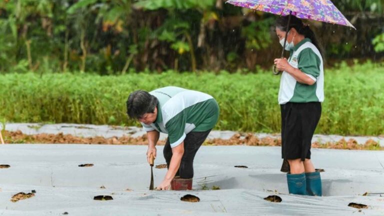 DILG Calls For Village Participation In Planting Program