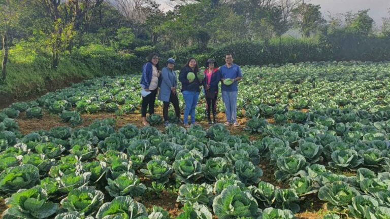 Popular Food Chain To Source Veggies From Quezon Town Farmers
