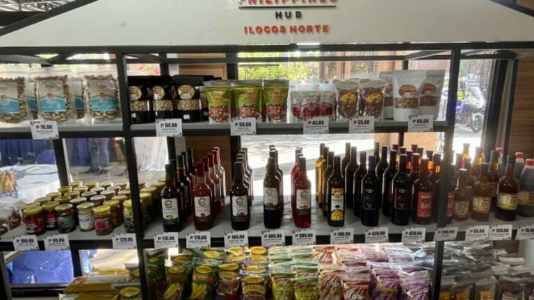 Government Agencies Asked To Support Local Businesses In Ilocos Norte