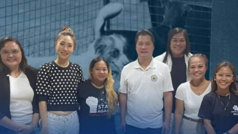 Bacolod, Animal Welfare Group To Rescue, Rehome Impounded Dogs