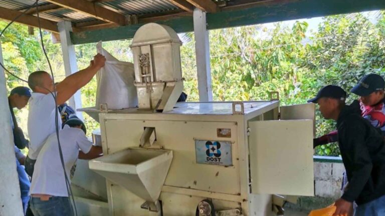 DOST Boosts Production, Consumption Of Brown Rice In Aurora