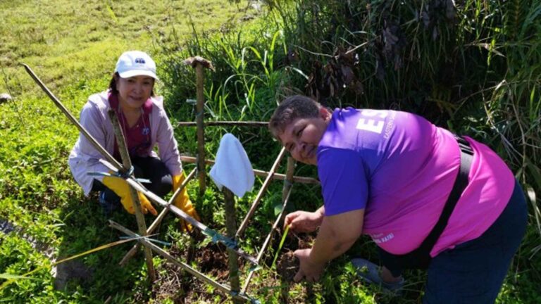 DPWH Plants 315K ‘Replacement’ Trees In Eastern Samar