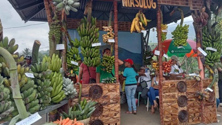 Negros Occidental Town Banana Fest Bounces Back With More Varieties