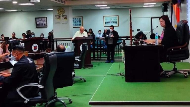 Ordinance Asks Solo Parents In Iloilo To Band Together