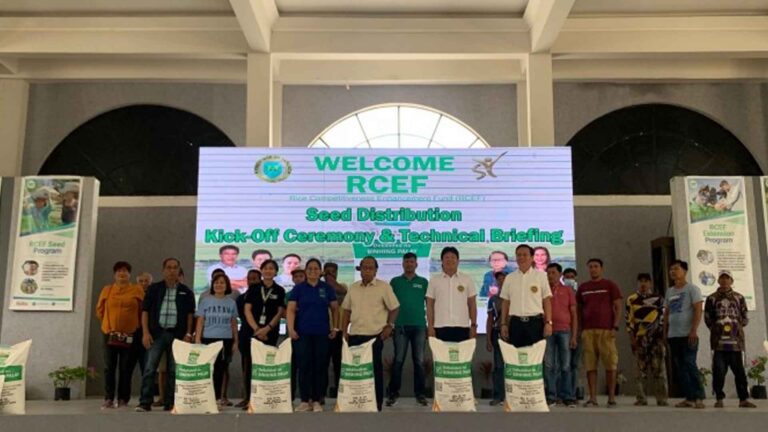 246K Bags Of Inbred Rice Seeds Allotted For 3 Central Luzon Provinces