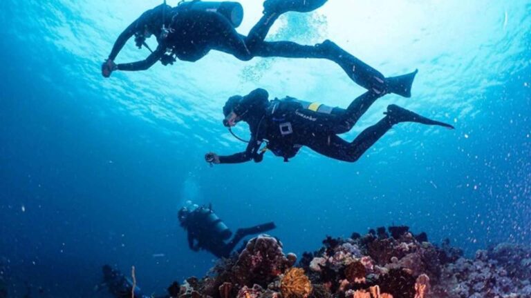 Tourism Chief Dives In Oil Spill-Free Puerto Galera