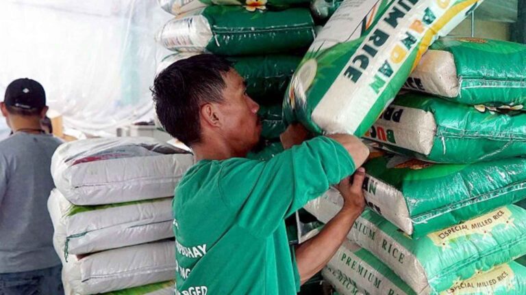 Solon Bats For Creation Of Clusters Of Grains Commodity Exchanges