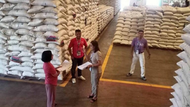 National Food Authority Ilocos Norte Starts Buying Palay At PHP19/Kg