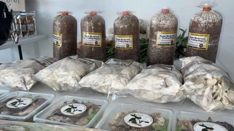 Youth Org’s New Products Now Available In Laoag One-Stop Shop