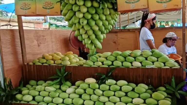 10 Tons Of Mangoes Available For ‘Manggahan’ Eat-All-You-Can