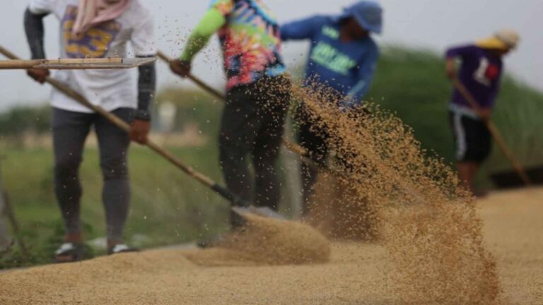 Batangas Farm Workers To Study Agriculture Technology In South Korea