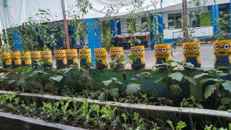 Iloilo Container Gardens Promote Food Resiliency During Disasters